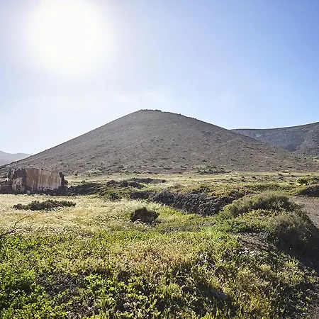 Palmeras Canarias Séjour à la campagne Uga