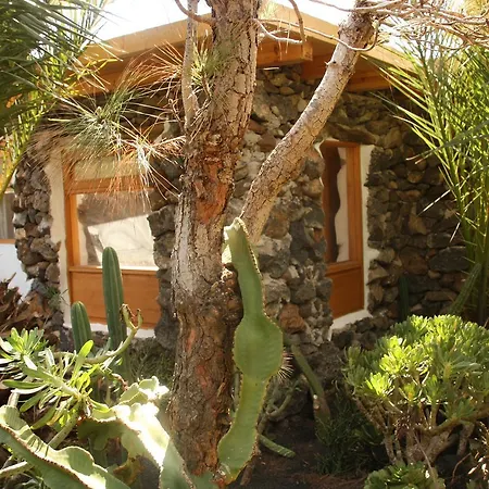 Palmeras Canarias Landhuis Uga