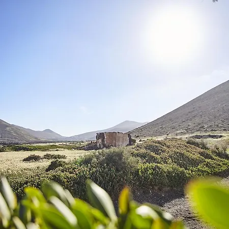 Palmeras Canarias * Uga
