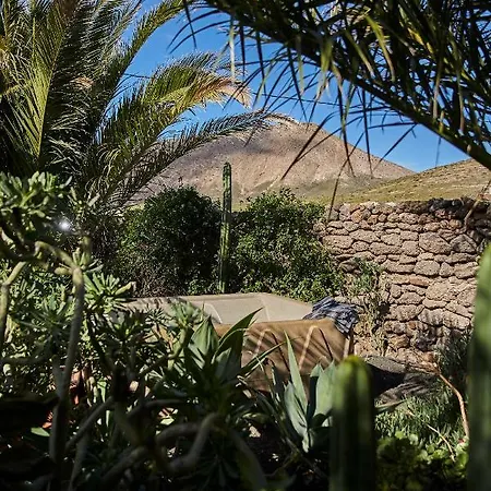 Palmeras Canarias Landhuis