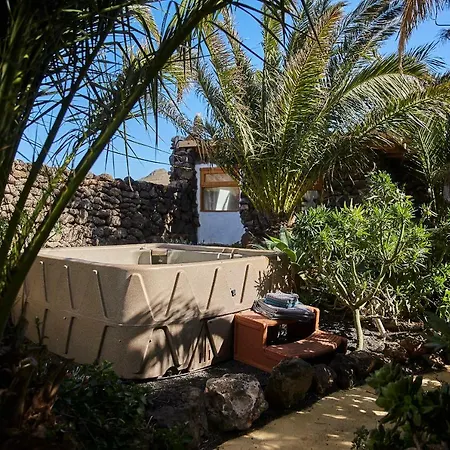 Palmeras Canarias *