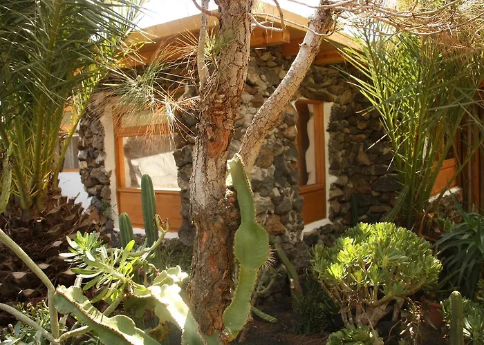 Palmeras Canarias Country house Uga