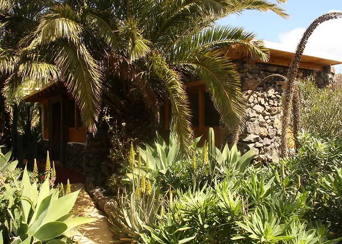 Palmeras Canarias Uga