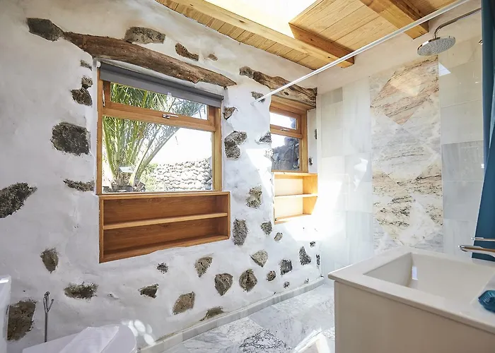 Palmeras Canarias Uga