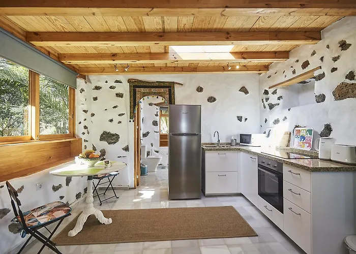 Palmeras Canarias Uga