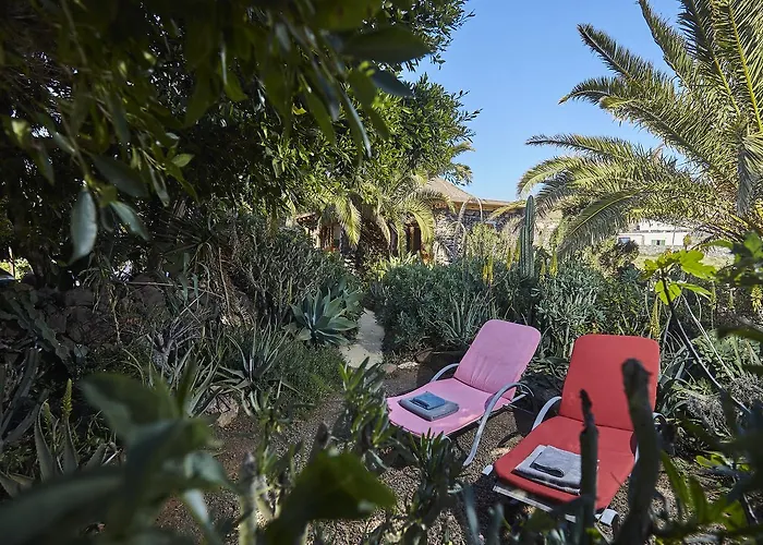 Country house Palmeras Canarias *