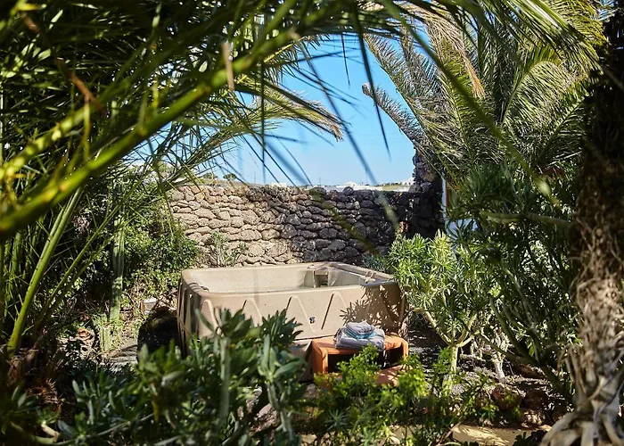 Palmeras Canarias Country house Uga