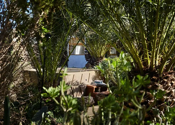 Country house Palmeras Canarias *