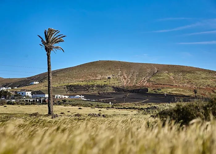Séjour à la campagne Palmeras Canarias