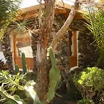 Palmeras Canarias Landsted Uga