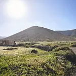 Palmeras Canarias Landsted Uga