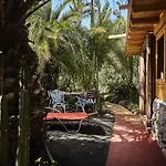 Palmeras Canarias