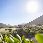 Palmeras Canarias * Uga