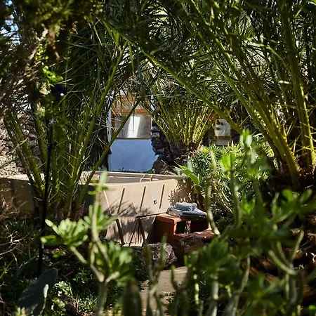 Εξοχικό σπίτι Palmeras Canarias *